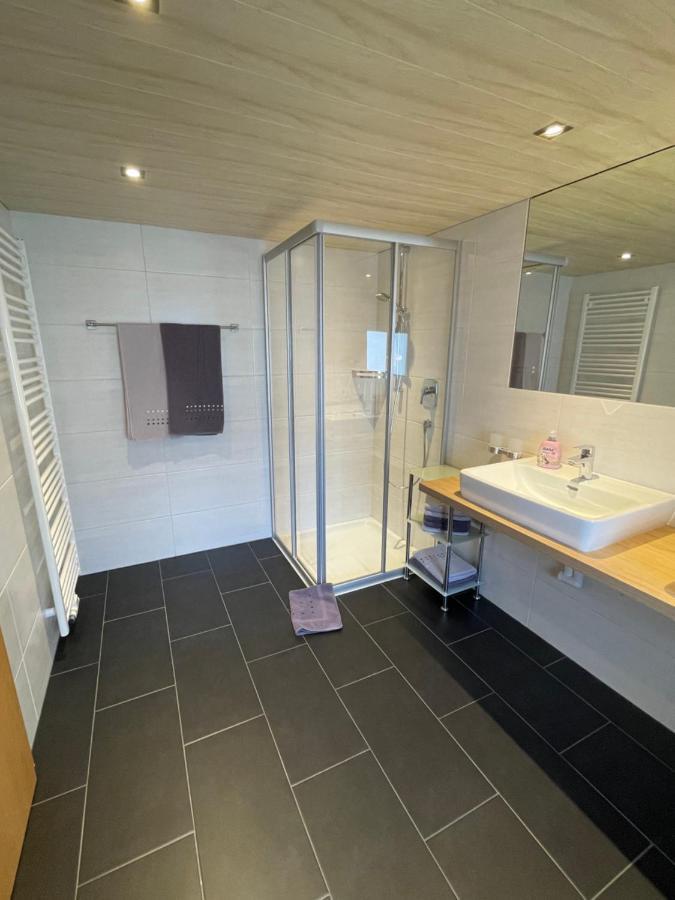 Апартаменты Haus Silvretta Гальтюр Экстерьер фото
